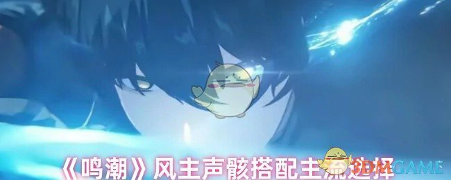 风主声骸搭配主流选择