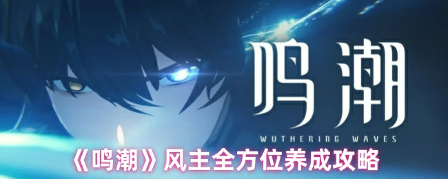 风主全方位养成攻略