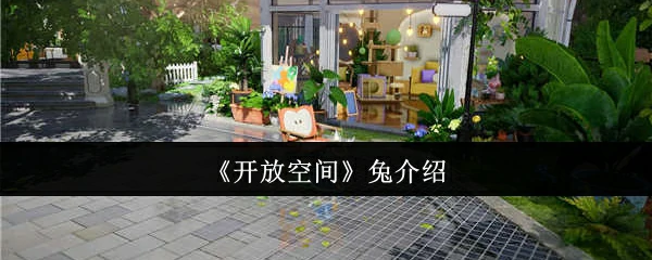 兔介绍