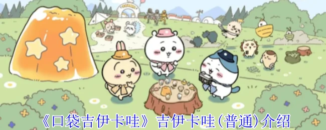 吉伊卡哇(普通)介绍