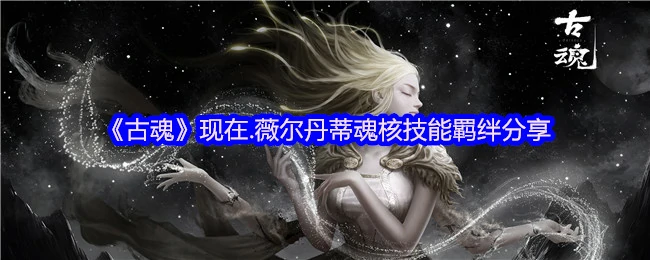 现在.薇尔丹蒂