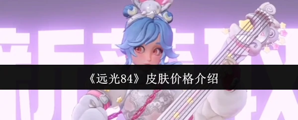 皮肤价格介绍