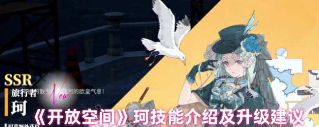 珂技能介绍及升级建议