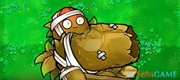 绷带坚果炮属性介绍