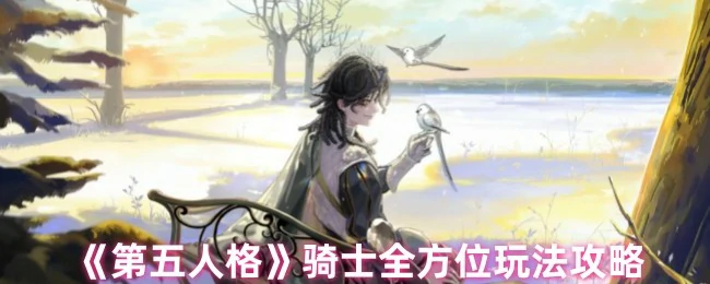 骑士全方位玩法攻略