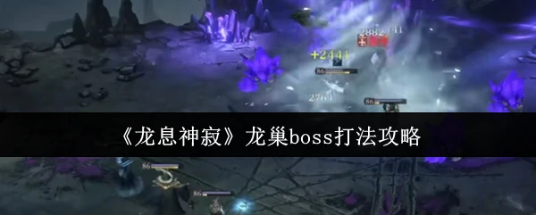 龙巢boss打法攻略