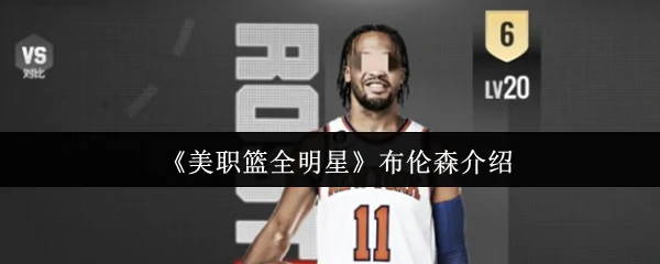 布伦森介绍