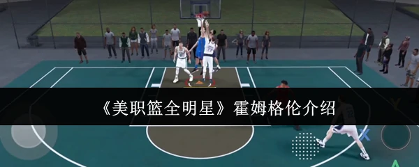 霍姆格伦介绍