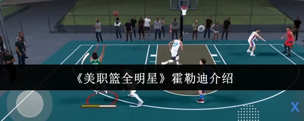 霍勒迪介绍