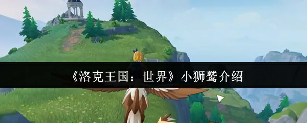 小狮鹫介绍