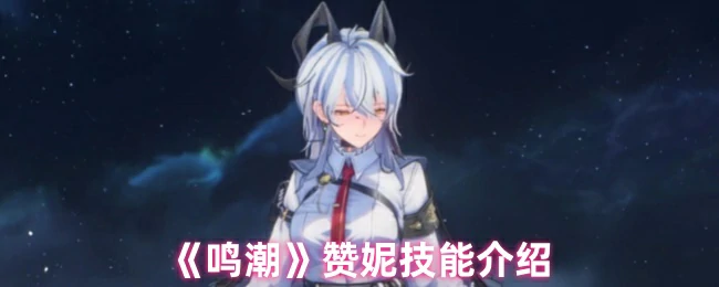 赞妮技能介绍