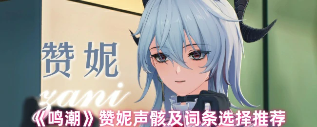 赞妮声骸及词条选择推荐
