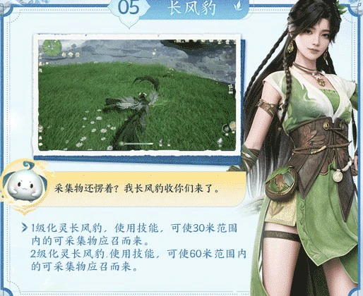 长风豹探索天赋解析