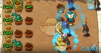 绷带高坚果属性介绍