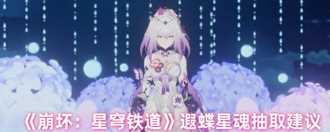 遐蝶星魂抽取建议