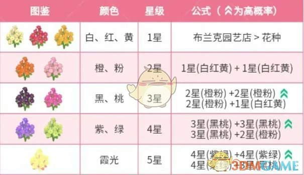 春野令霞光迎春花种植攻略