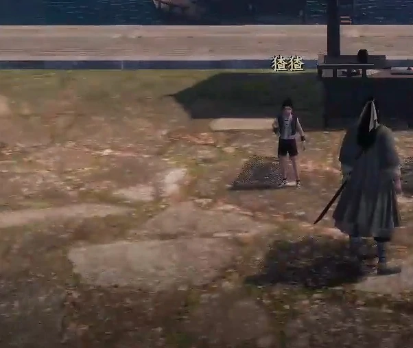 王小虎作用介绍