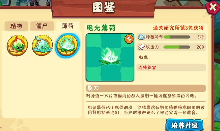 薄荷家族成员介绍