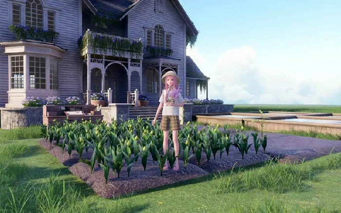 家园每日任务攻略