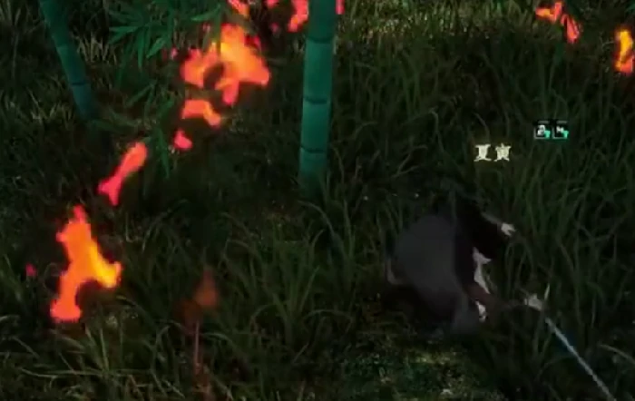 月下剑舞任务攻略