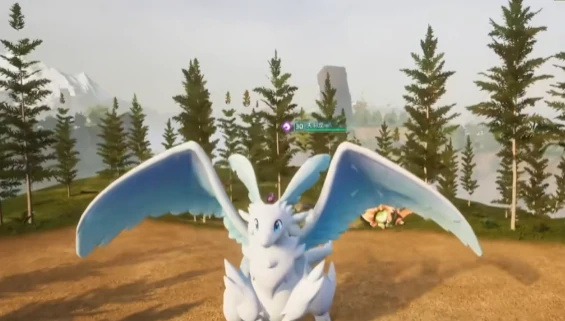 天空龙技能搭配攻略