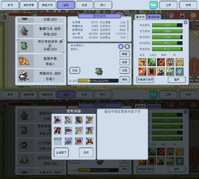 辅助宠物养成建议