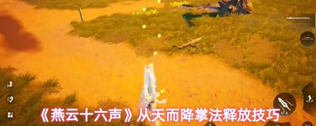 从天而降掌法释放技巧