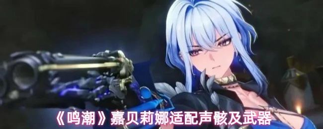 嘉贝莉娜适配声骸及武器