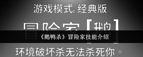 冒险家技能介绍