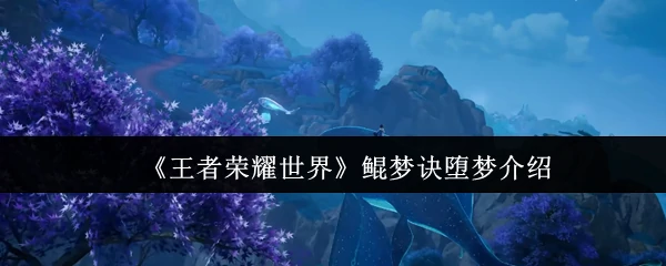 鲲梦诀堕梦介绍