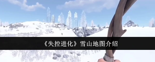 雪山地图介绍