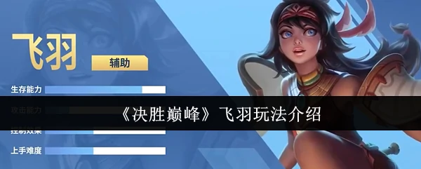 飞羽玩法介绍