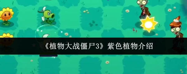 紫色植物介绍