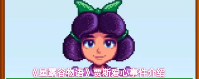 贾斯爱心事件介绍