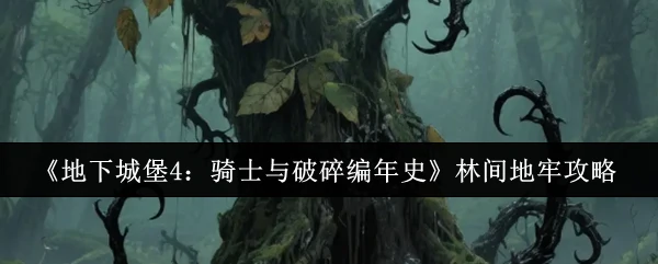 林间地牢攻略