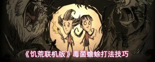 毒菌蟾蜍打法技巧