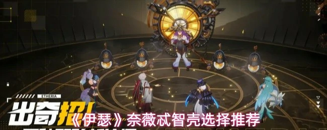 奈薇忒智壳选择推荐