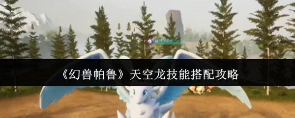 天空龙技能搭配攻略
