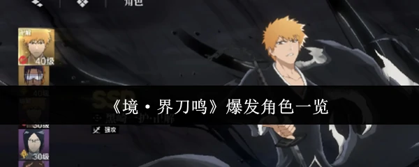 爆发角色一览