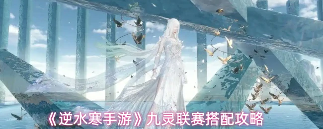 九灵联赛搭配攻略