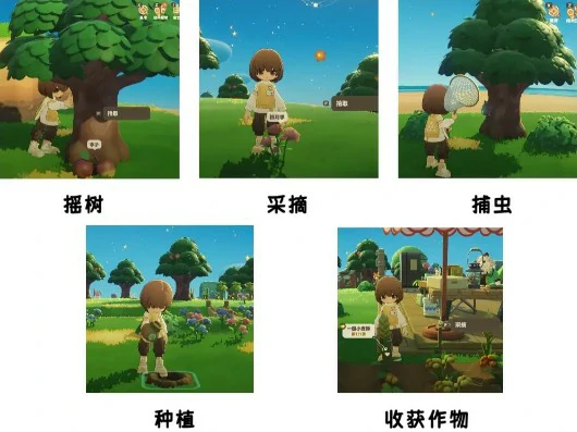 阿奇宝获取攻略