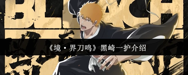 黑崎一护介绍