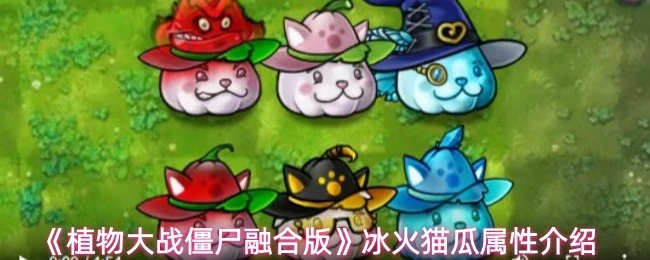 冰火猫瓜属性介绍