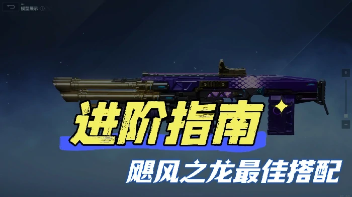 飓风之龙最佳搭配