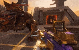 飓风之龙最佳搭配