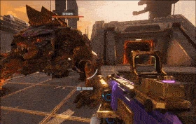 飓风之龙最佳搭配