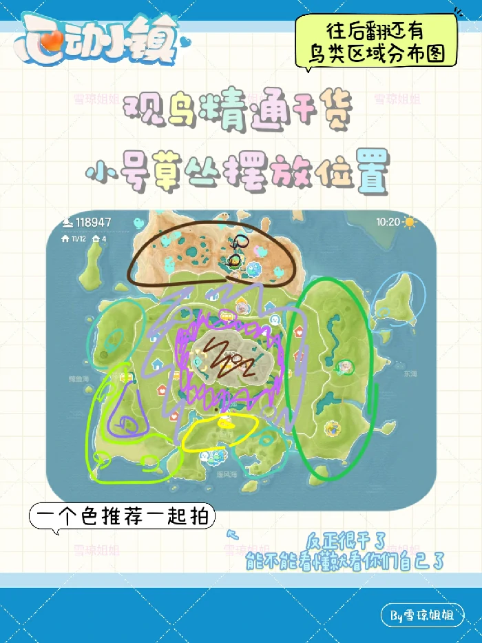 观鸟区域分布总览及精通攻略