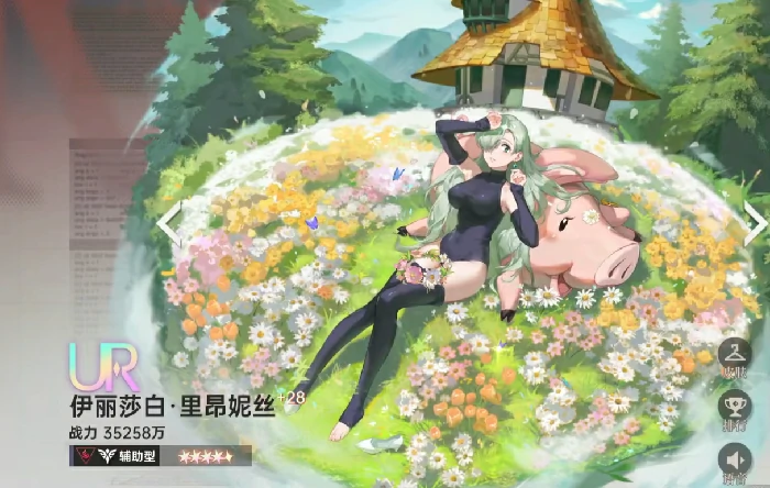 伊丽莎白抽取建议