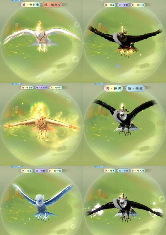 育宠外观因子获取攻略