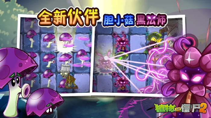 Z公司版本上新内容介绍